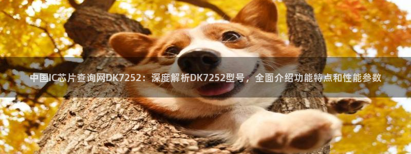 pg电子单机版：中国IC芯片查询网DK7252：深度解析DK7252型号，全面介